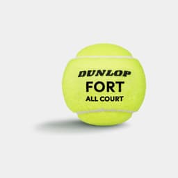 М'ячі для тенісу Dunlop Fort TS 4B пластик банка