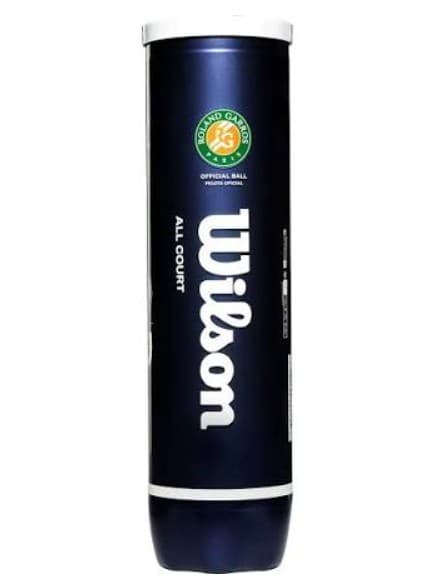 М'ячі для тенісу Wilson ROLAND GARROS ALL CT 4 BALL